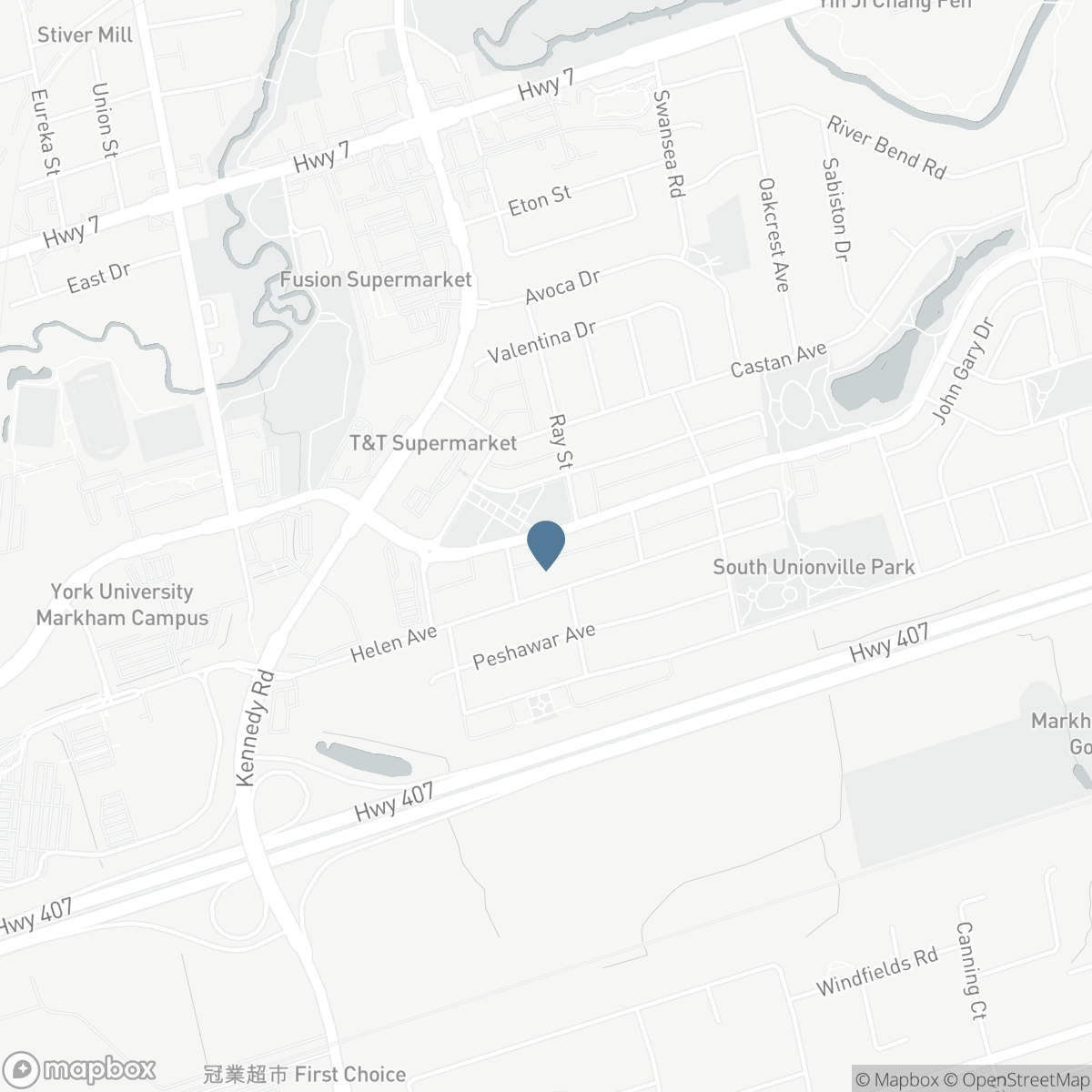113 SOUTH UNIONVILLE AVENUE, Markham, Ontario L3R 6B8